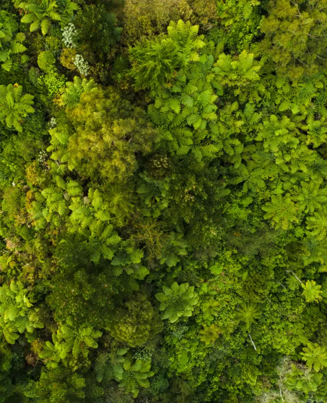 HP Sustainability: van ambitie naar concrete impact