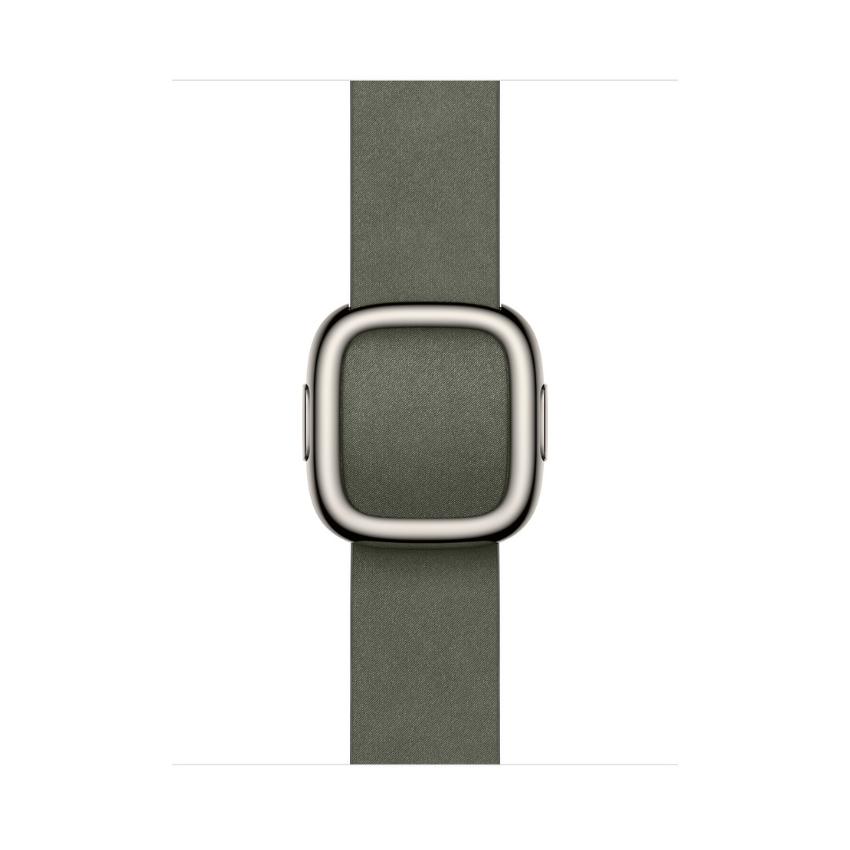 Apple Watch Modern Buckle 