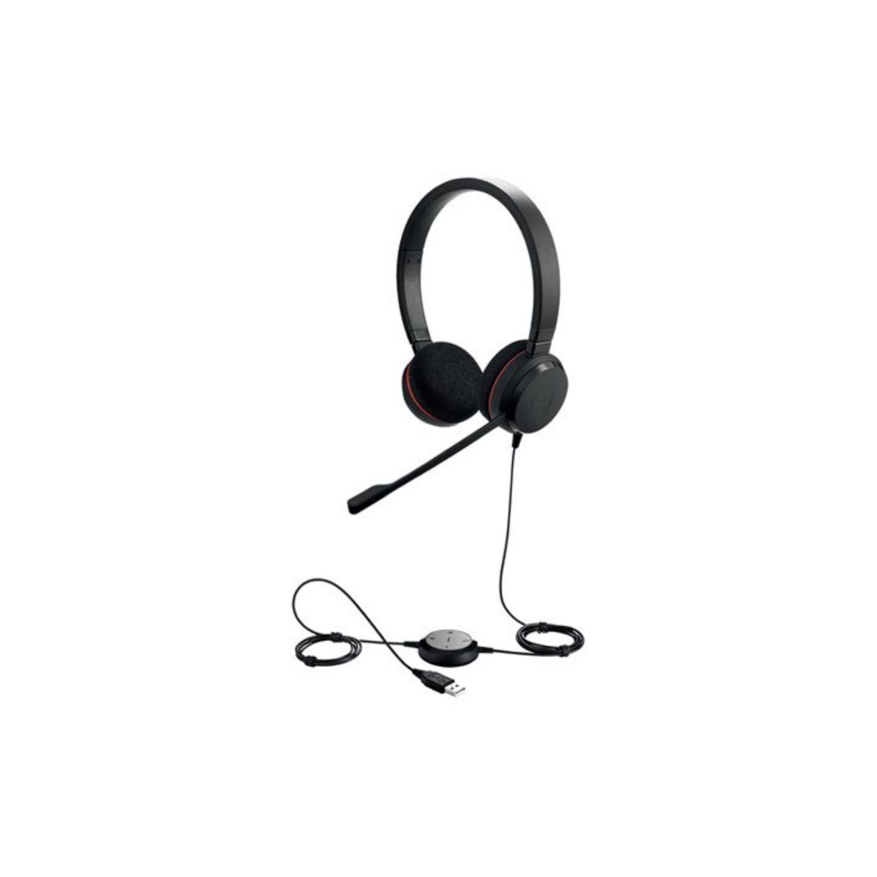 Jabra Evolve 20 Stereo MS USB C/A adapte
