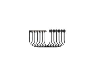 USB-C Cable 30cm (10 pack) for K67716EU