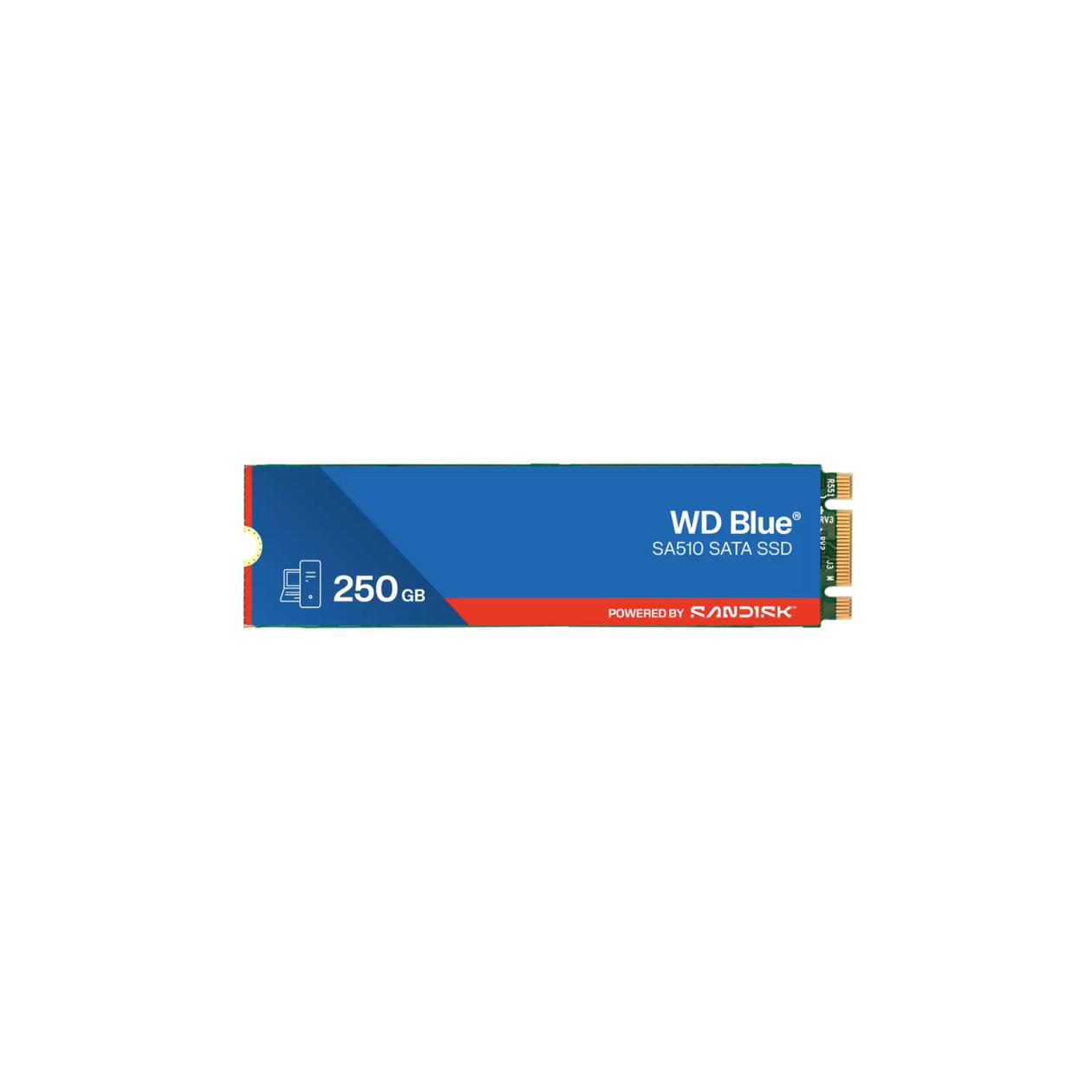 WD Blue SA510 WDS250G3B0B-00AXS0 - SSD - 250 GB - internal - M.2 2280 - SATA 6Gb/s - blue