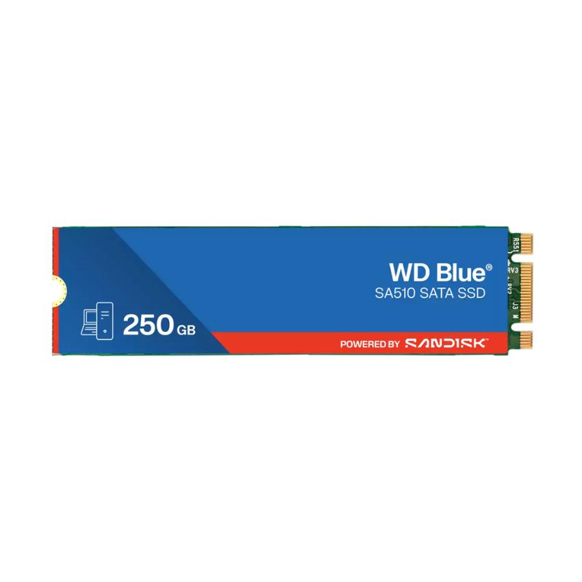 WD Blue SA510 
